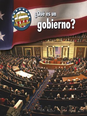cover image of ¿Qué es un gobierno?
